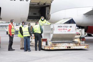 La importancia de la aviación durante la pandemia