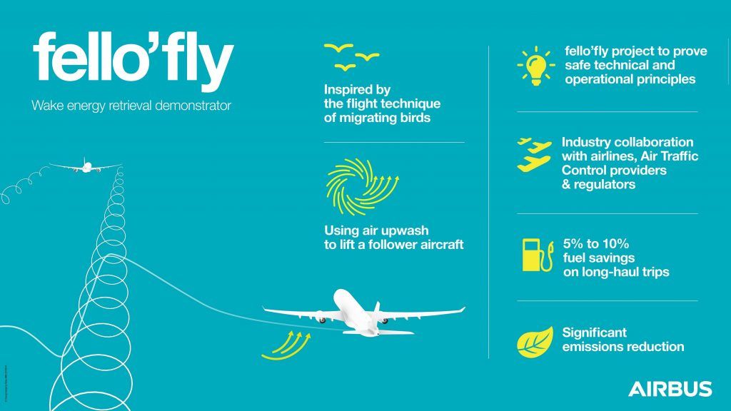 infografia fello-fly