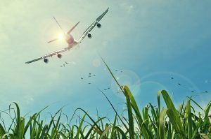 El camino hacia una aviación sostenible