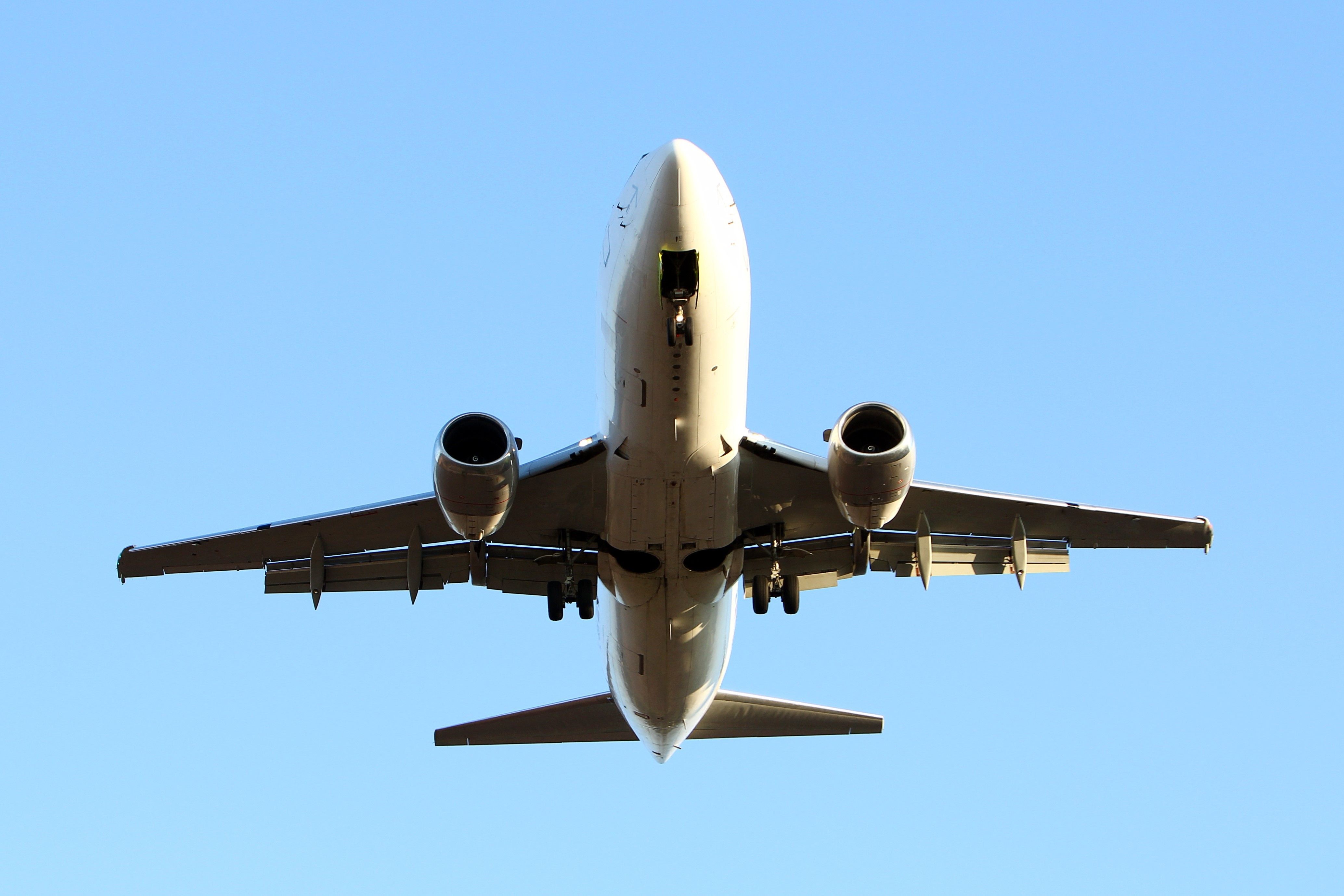 envergadura avión